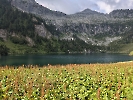Monte Re di Castello-58